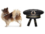 chien