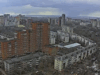 perm
